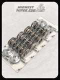 Command Dual Valve Springs