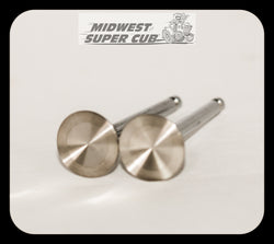 SS Valves for Command