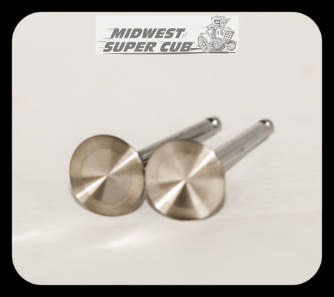 SS Valves for Command