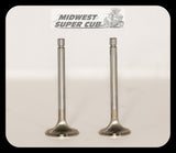 SS Valves for Command