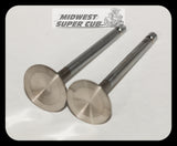 SS Valves for Command