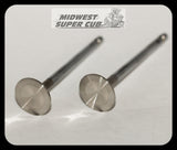 SS Valves for Command